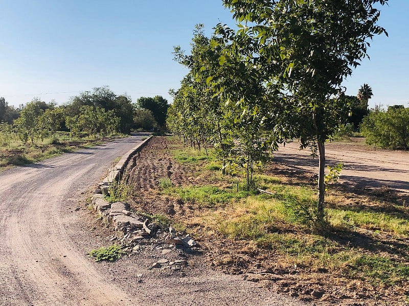 Long Private Driveway