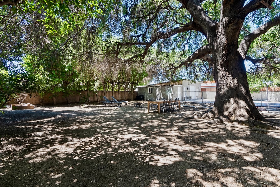Spacious shared backyard beneath the mature oak tree