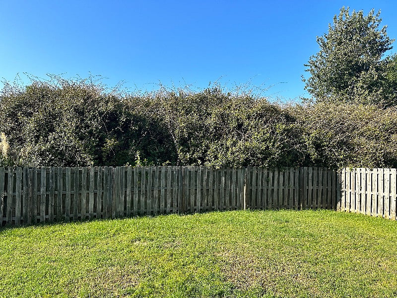 Furnished Finder property 586487_1 photo 10