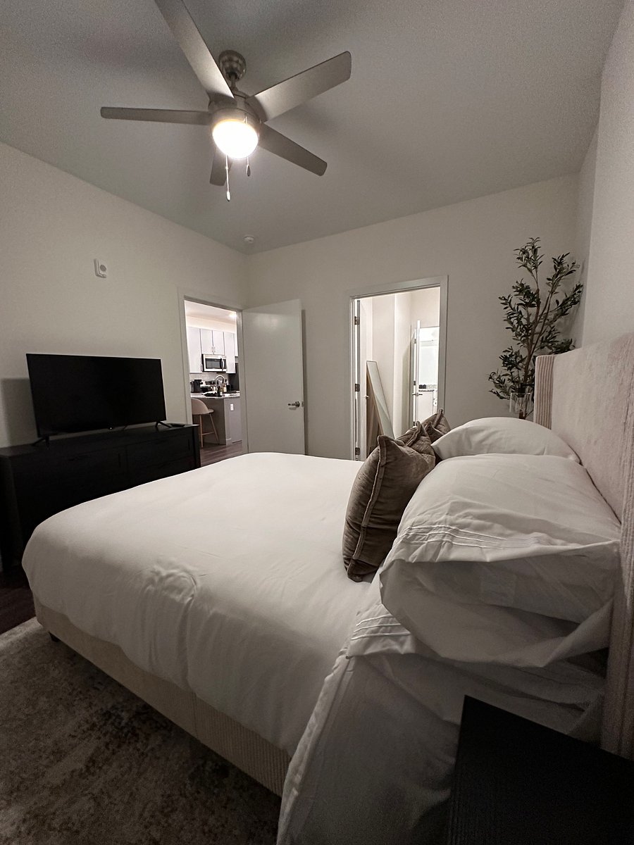 Furnished Finder property 586869_4 photo 12