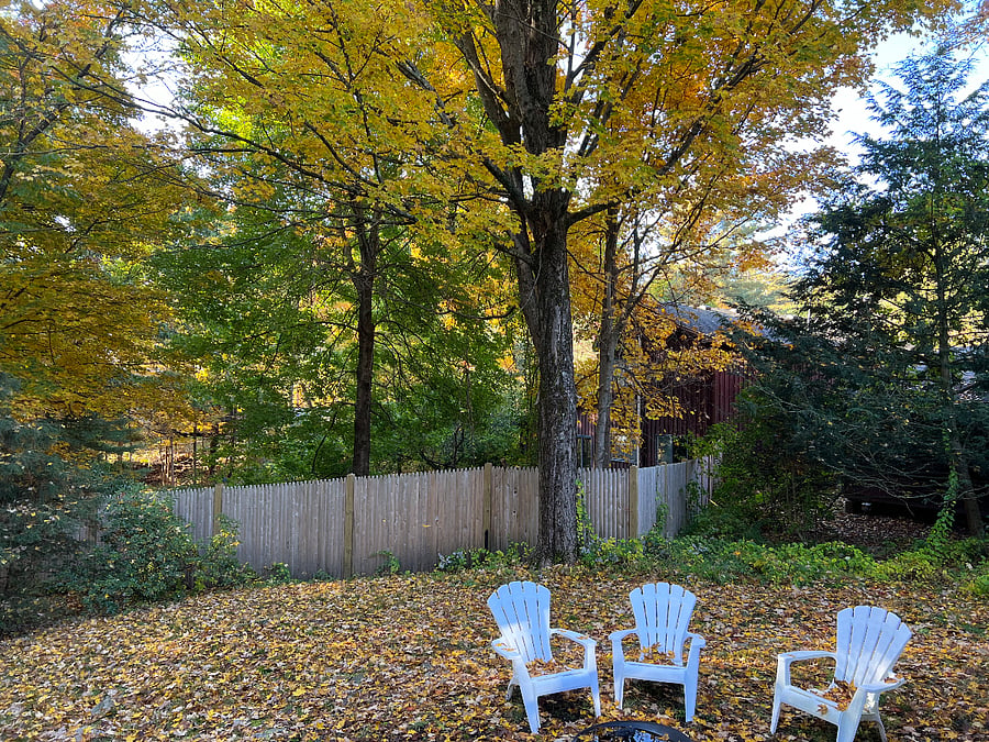 Furnished Finder property 587044_1 photo 15