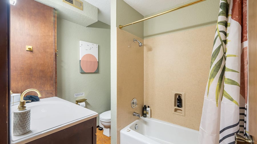 North Seattle Single Family Home - Bathroom