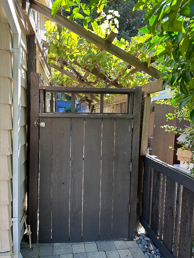 Entry patio is shaded by a picturesque grape vine much loved by local fauna.