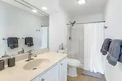 Furnished Finder property 587605_1 photo 11