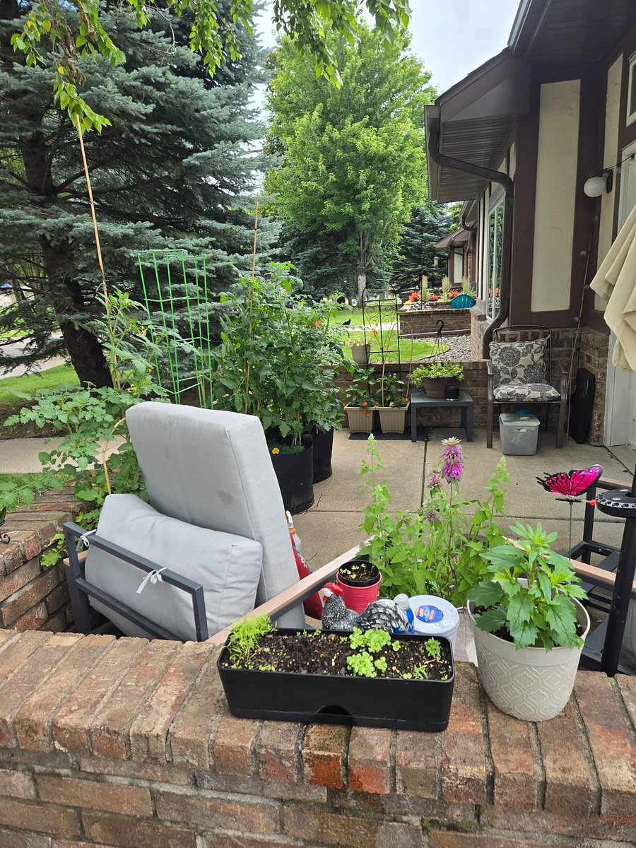 Back patio