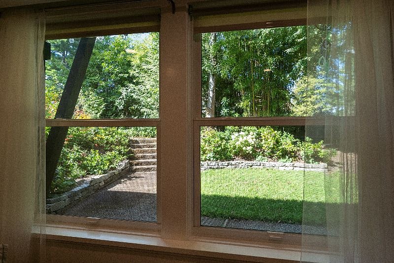 View of garden from studio window