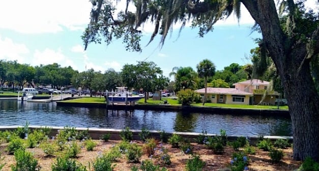 Sims park.