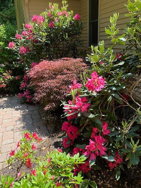 Grounds in the spring