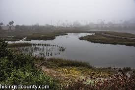 Famosa Slough - giant nature reserve one block away