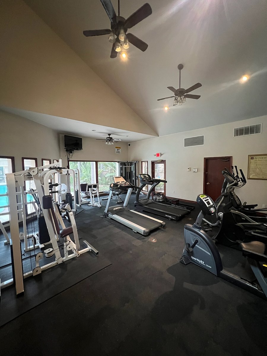 Furnished Finder property 588204_1 photo 15
