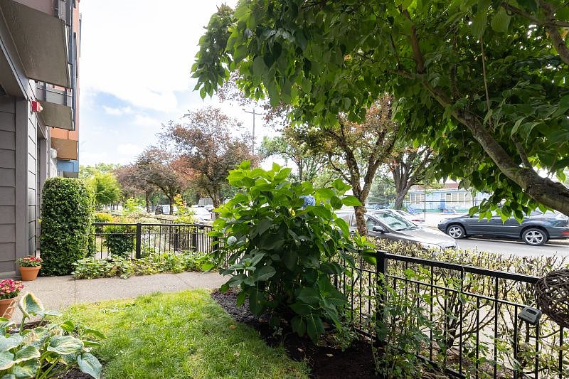 A little private yard!