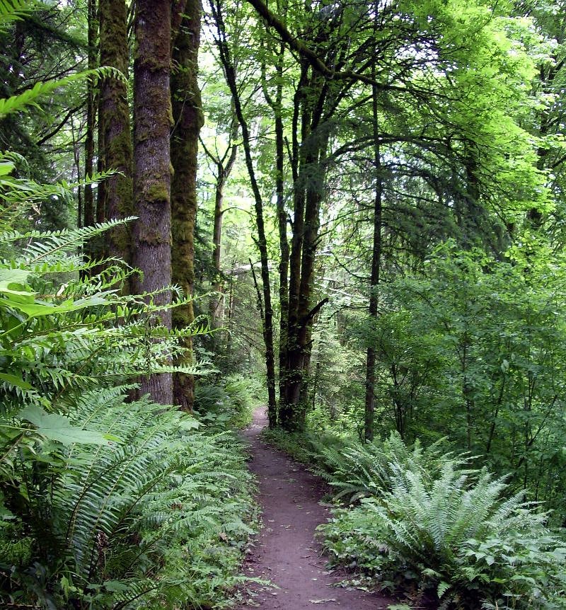 Forest Park - a 15 min walk or 2 min drive away