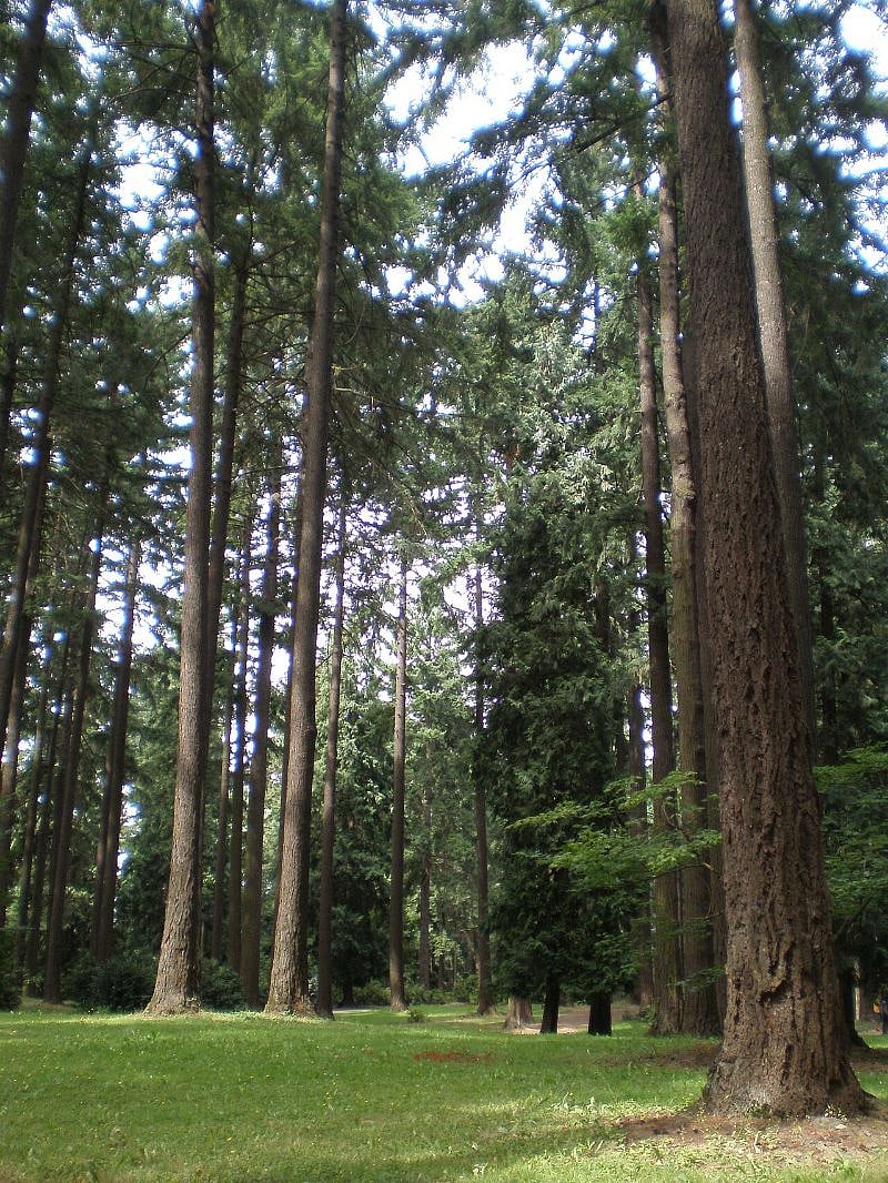 Pier Park - a 12 min walk away with a great trail system, disk golf and dog park