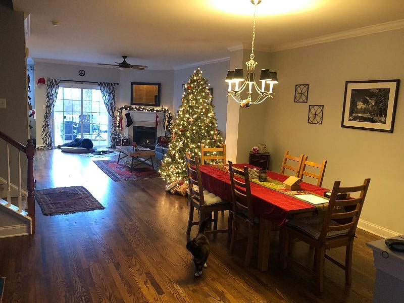 Furnished Finder property 588289_1 photo 5
