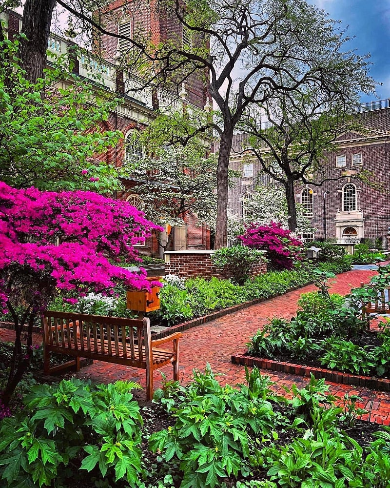 Christ Church Garden