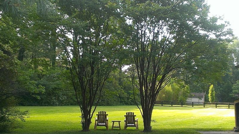 The peaceful backyard!