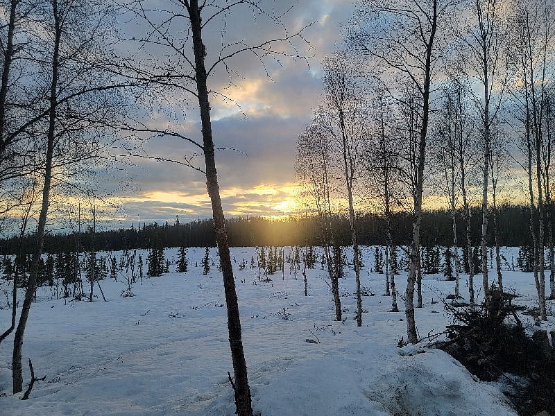 View of the wetlands in the winter.