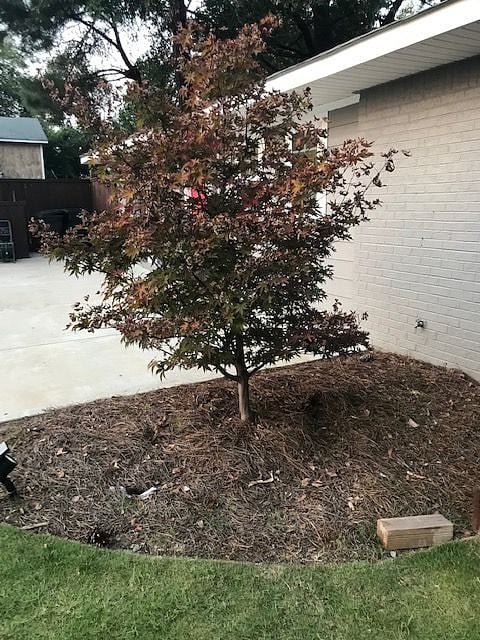 Outdoor (Front)