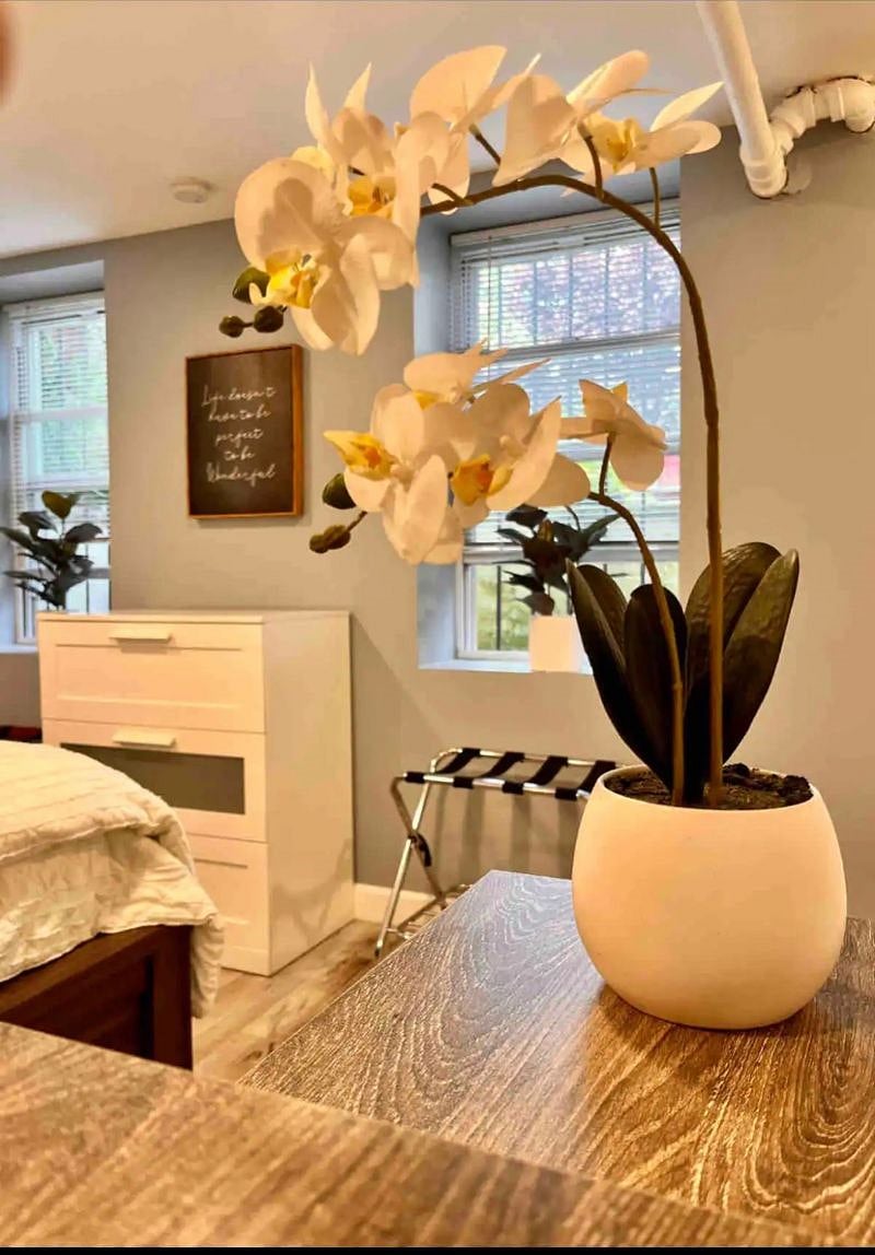 Furnished Finder property 589043_1 photo 9