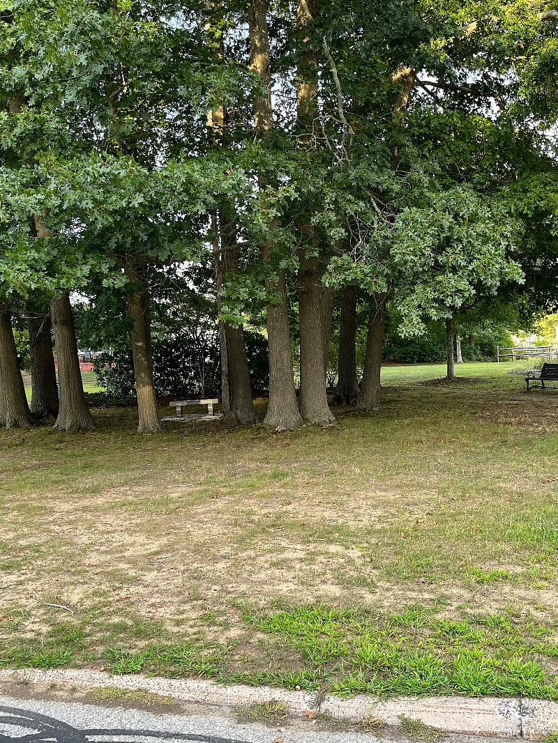 Public Park by small boat launch