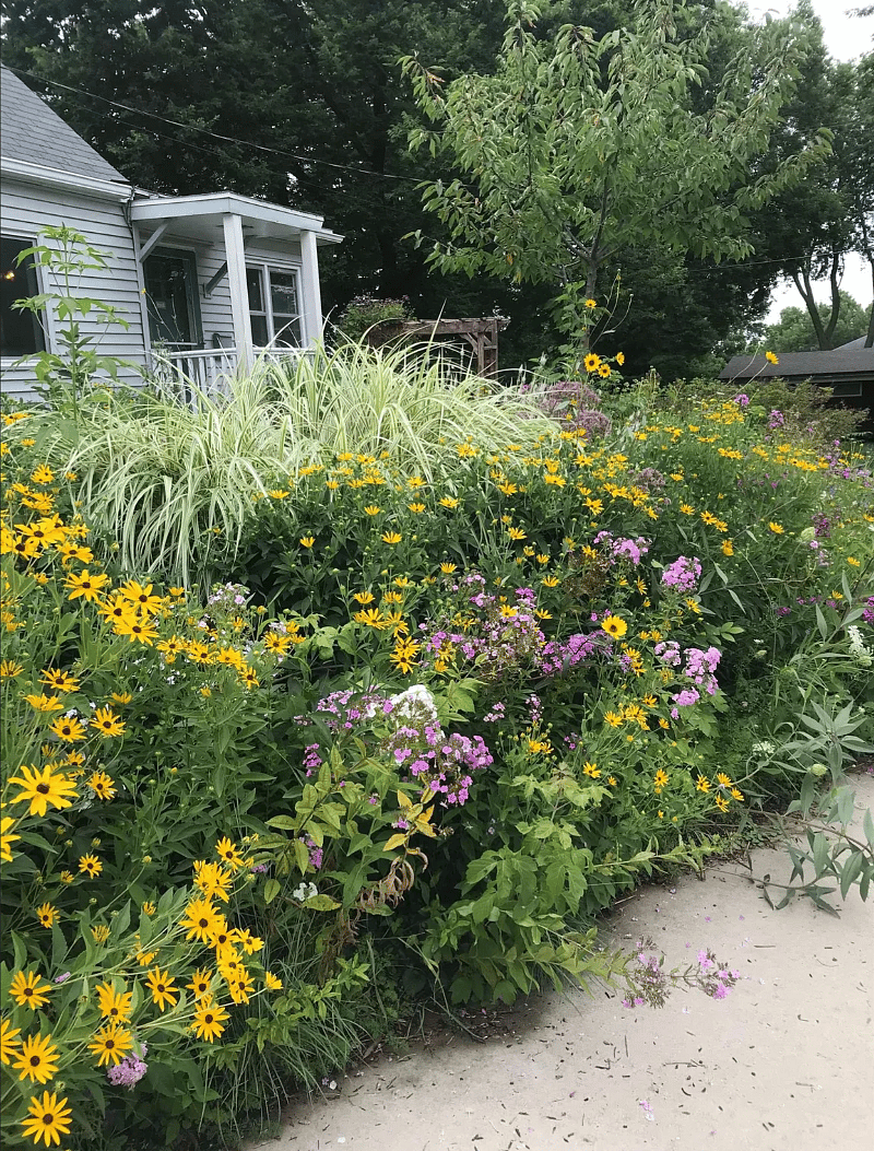 side yard