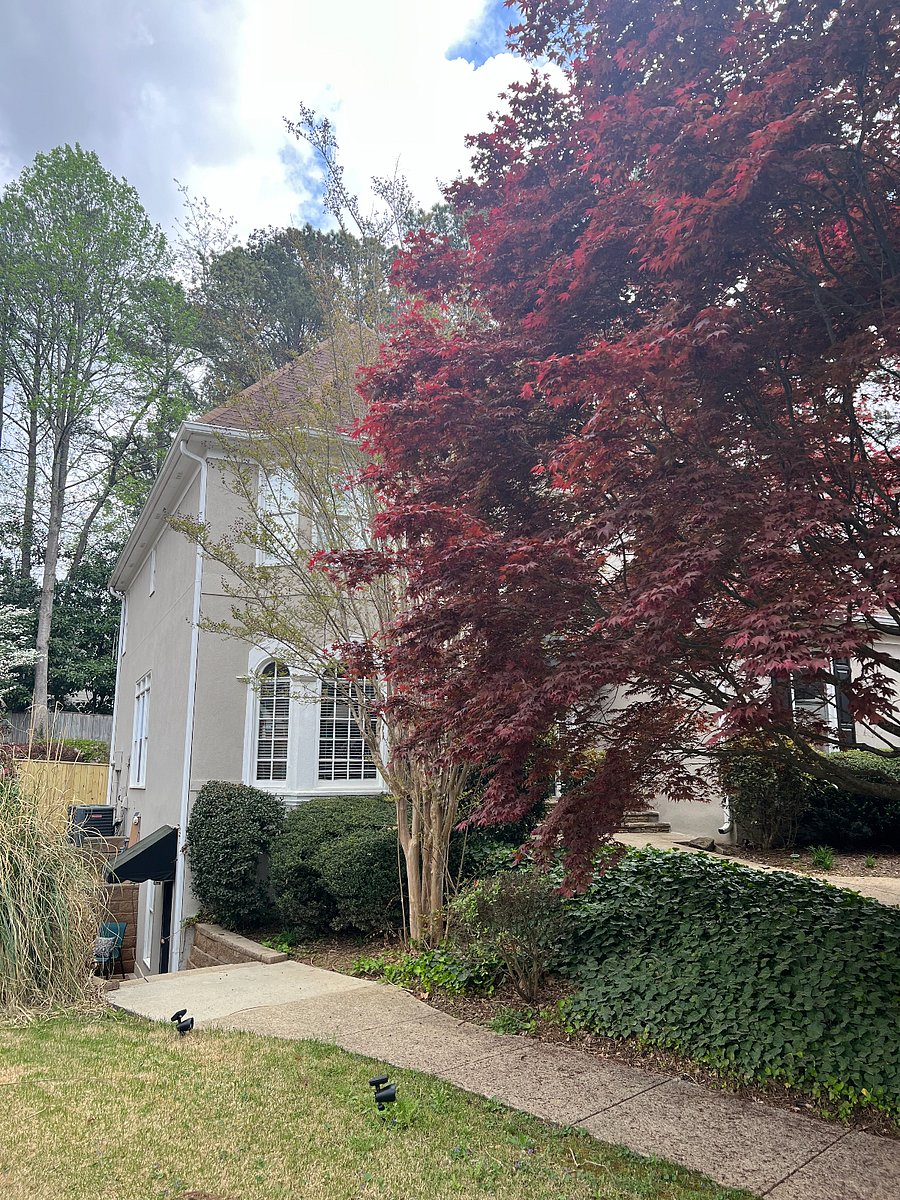 Furnished Finder property 589803_1 photo 26