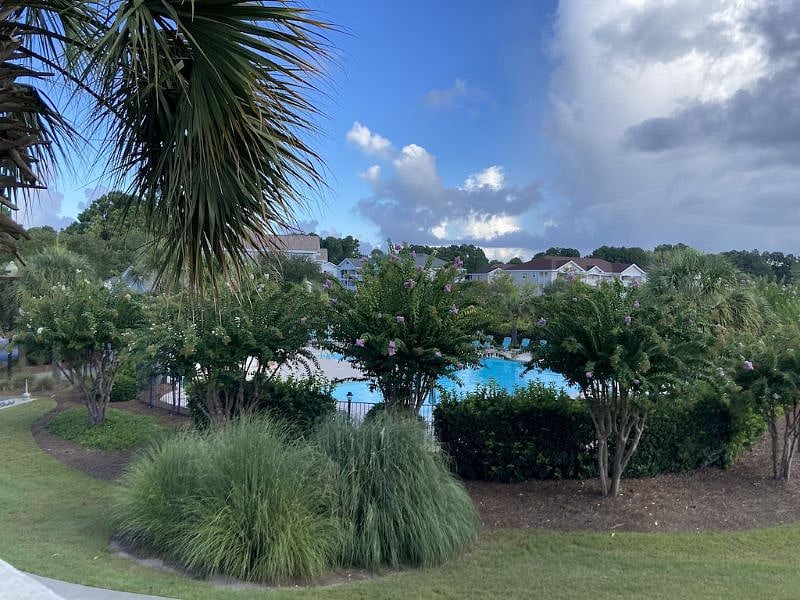 Ironwood pool