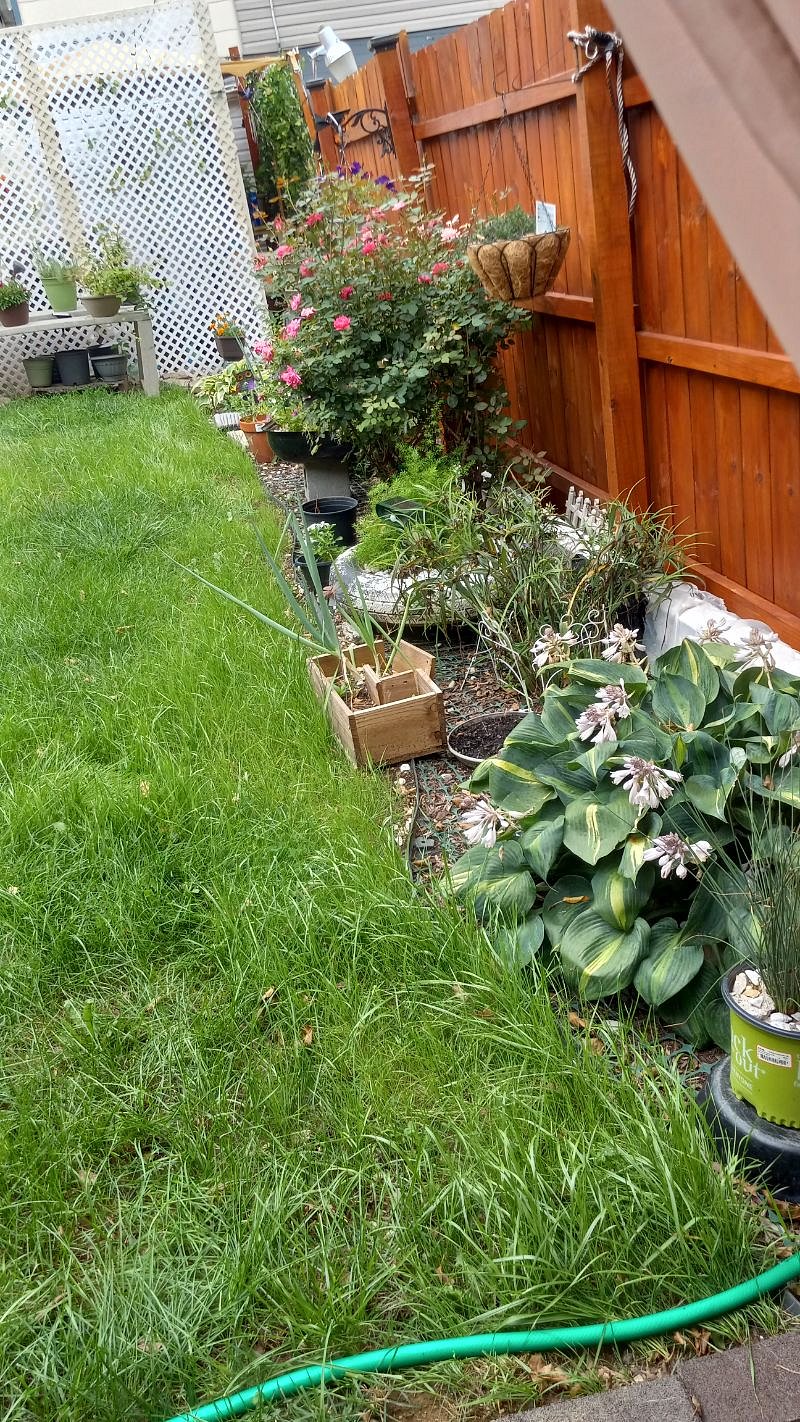 Part of outdoor space