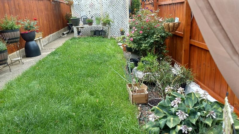 Backyard is fence in