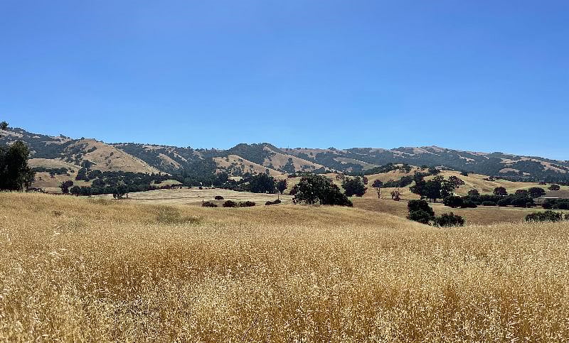 Foothills behind Evergreen Valley College. 10 minute walk from property, open to public.