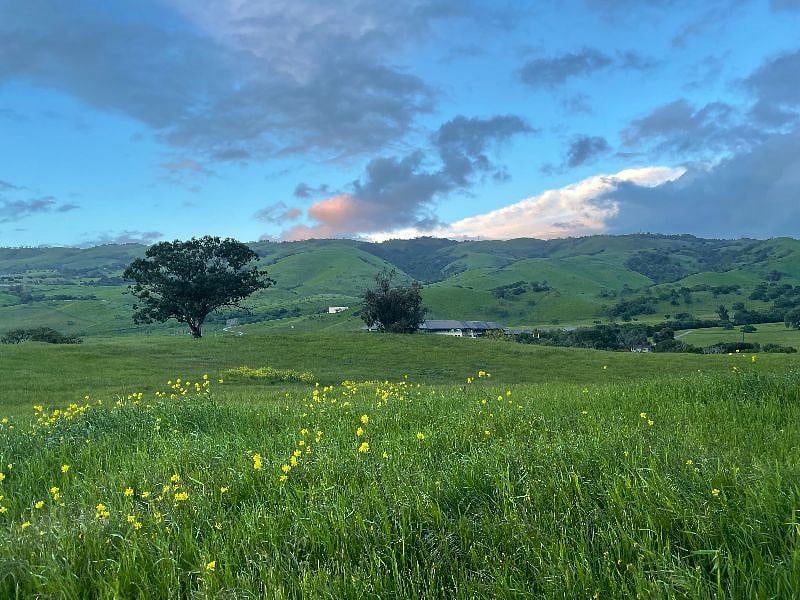 Ten minute walk from property. Trail open to the public