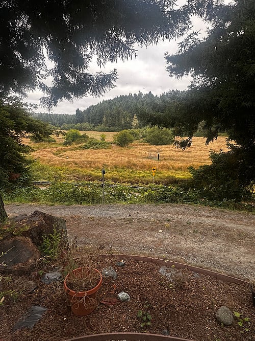 View from bedroom window