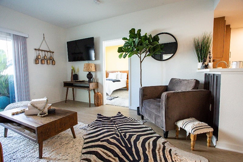 Living Room Area