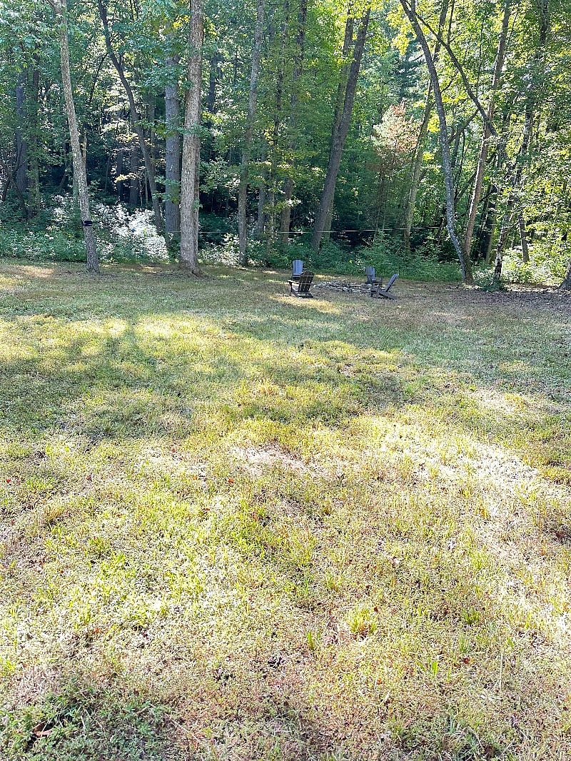Furnished Finder property 590740_1 photo 14