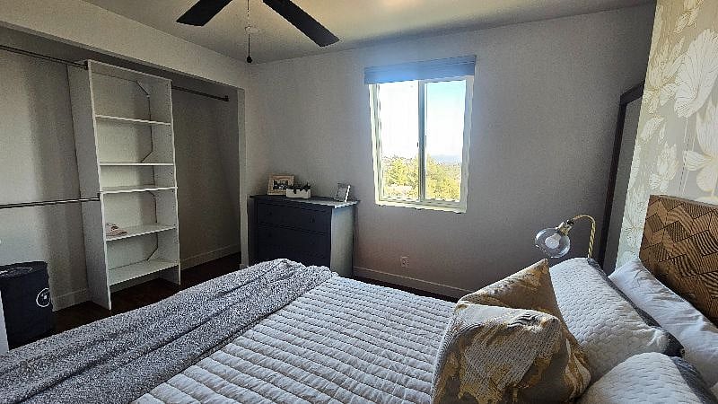 Primary bedroom closet system and views
