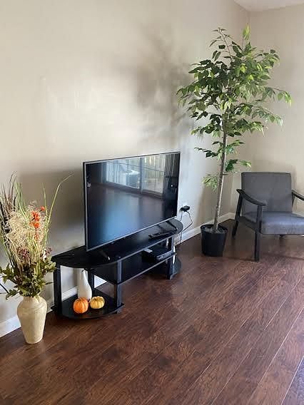 Furnished Finder property 591051_1 photo 5