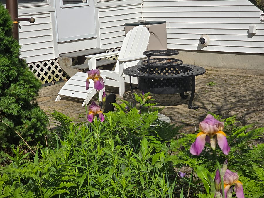 Furnished Finder property 591117_2 photo 22