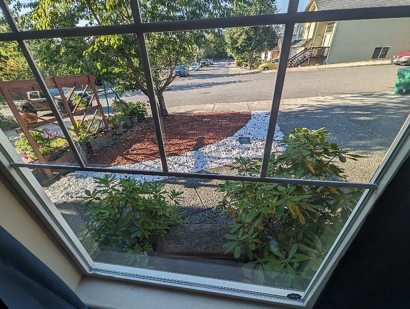 View out of the kitchen.