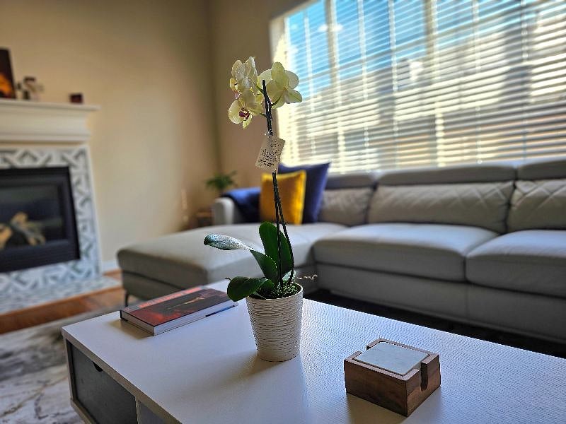 Furnished Finder property 591522_1 photo 6
