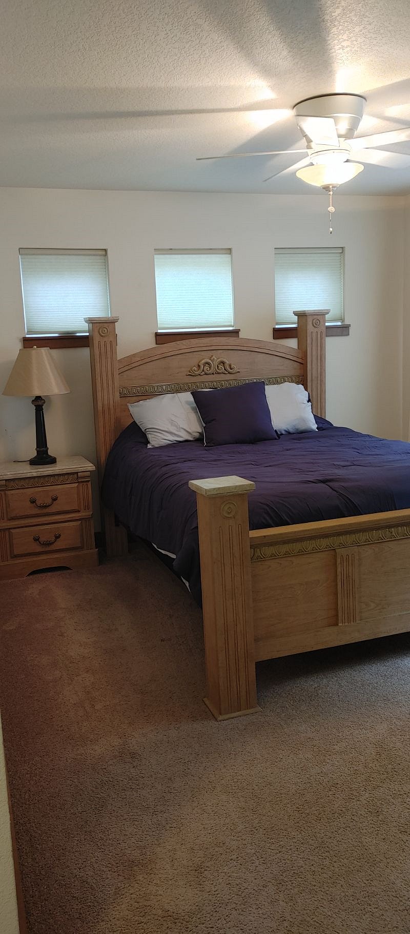 Furnished Finder property 591874_1 photo 23
