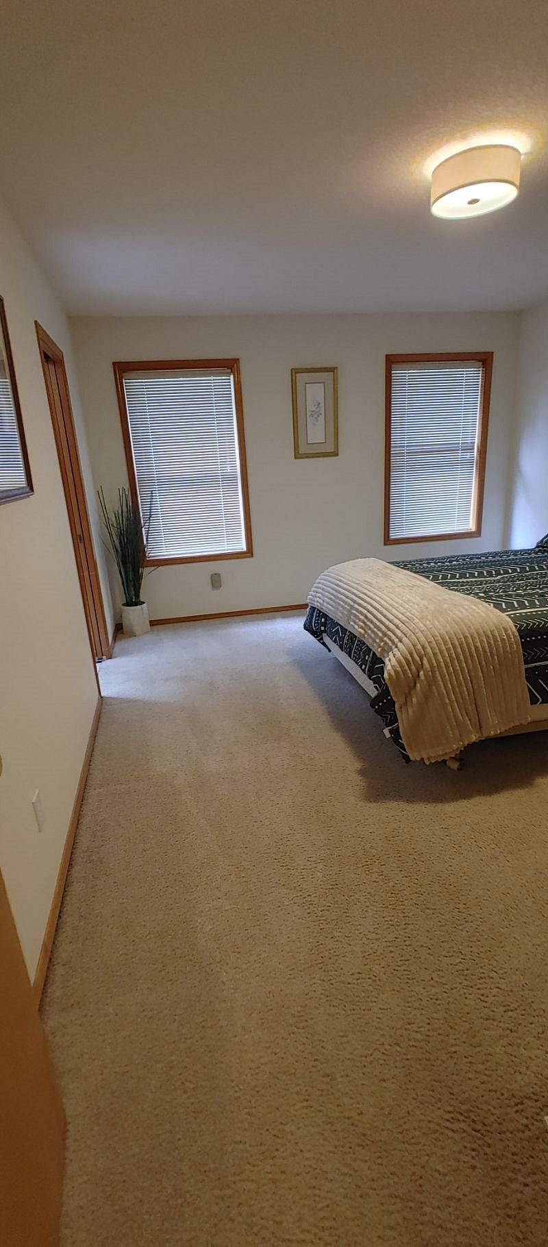 Furnished Finder property 591874_2 photo 14