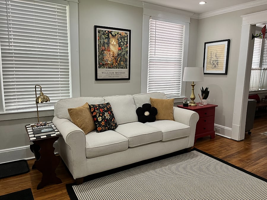 Shared Living Room