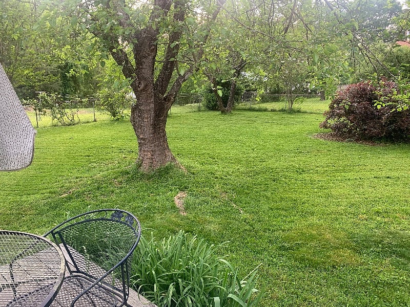 Furnished Finder property 592143_1 photo 12