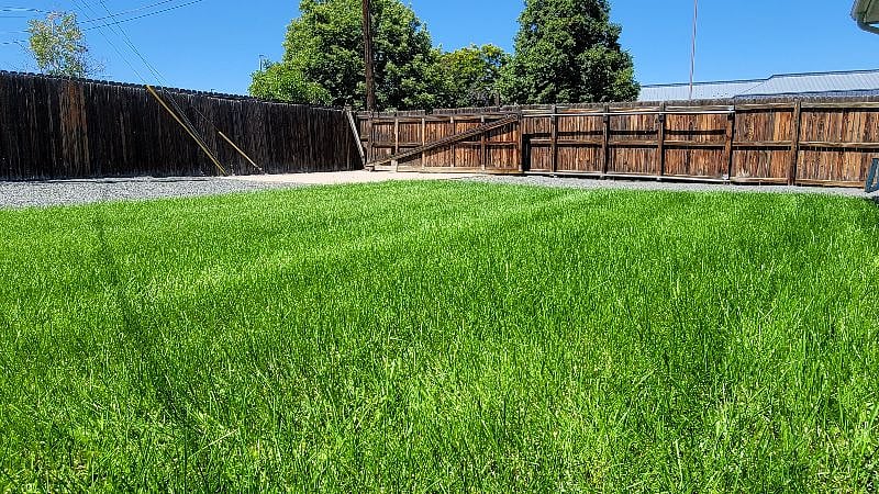 Common Space: Backyard