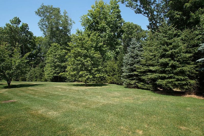 Furnished Finder property 592328_1 photo 4