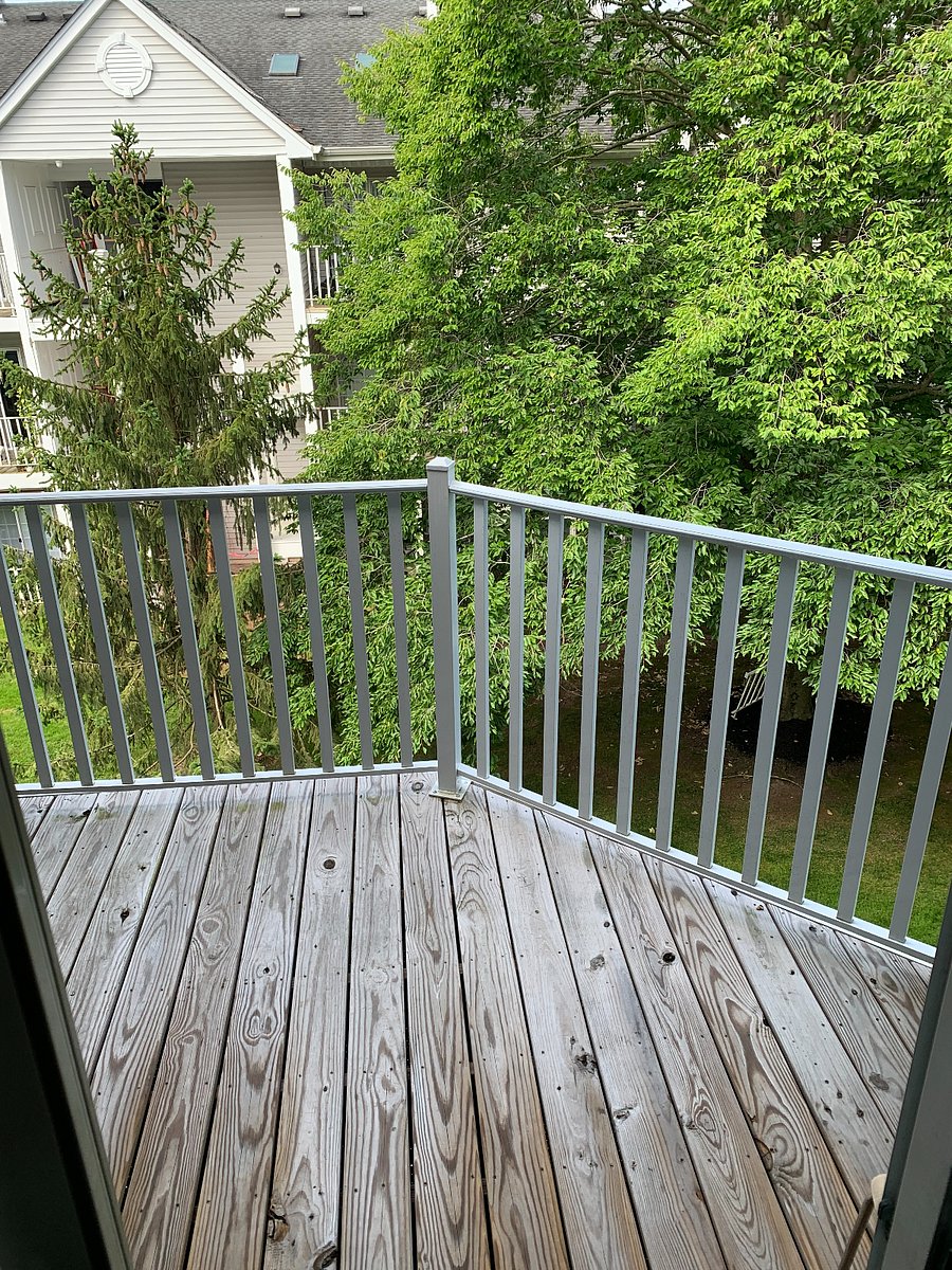 Furnished Finder property 592364_1 photo 7