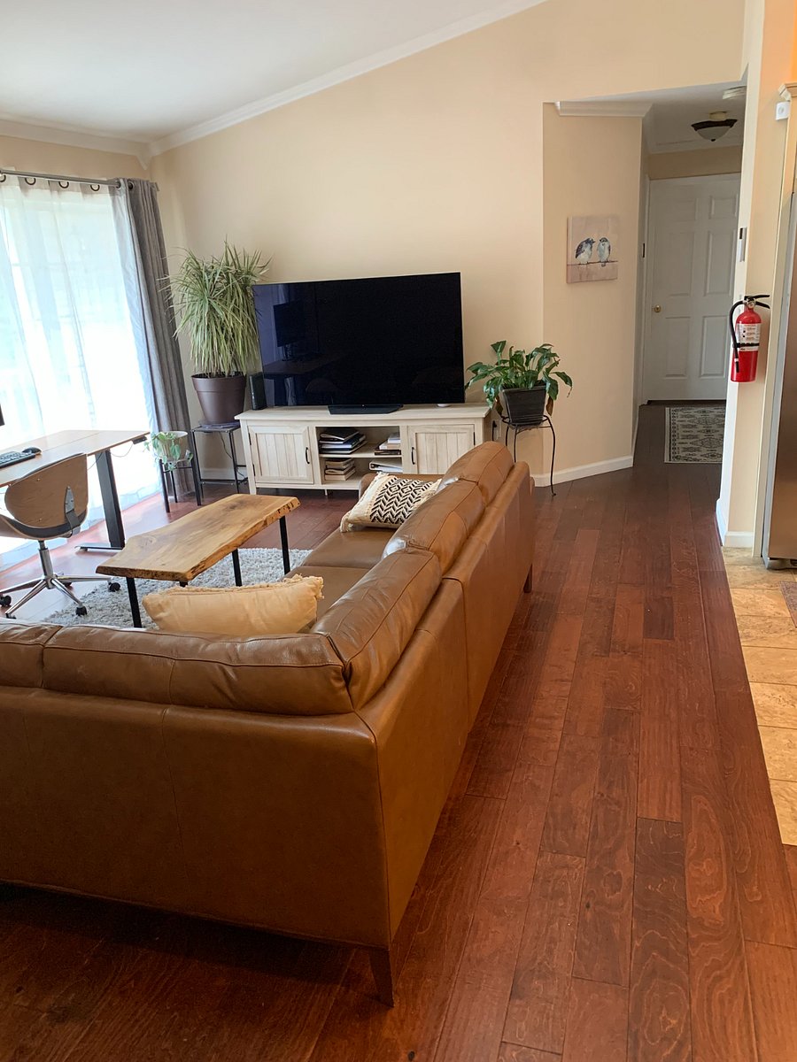 Furnished Finder property 592364_1 photo 4