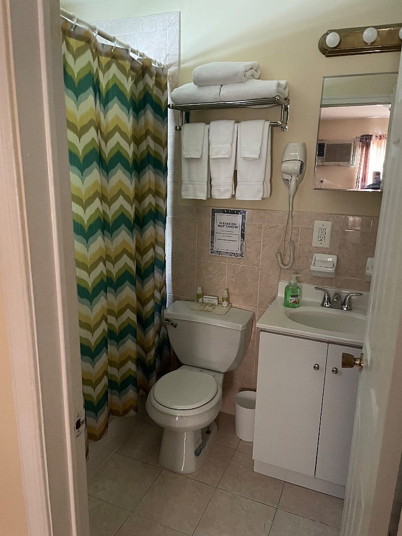 En-suite bathroom in master room