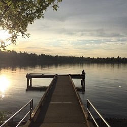 Lake Washington T-Dock