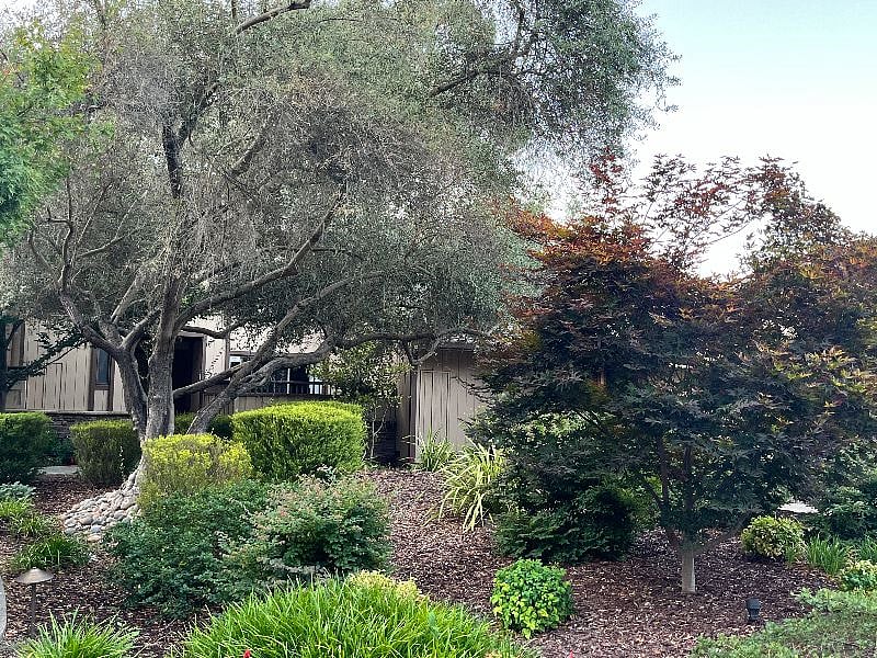 Furnished Finder property 592974_1 photo 14